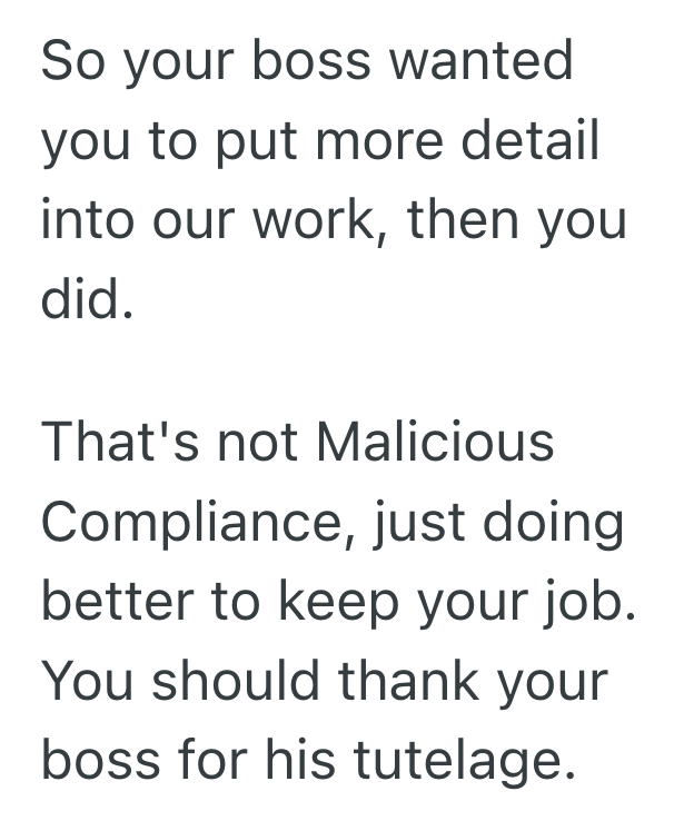 Screenshot 2025 06 22 at 4.14.29 PM New Boss Criticized One Lab Technicians Documentation, So He Buried Boss In 17 Pages Of Spiteful Precision